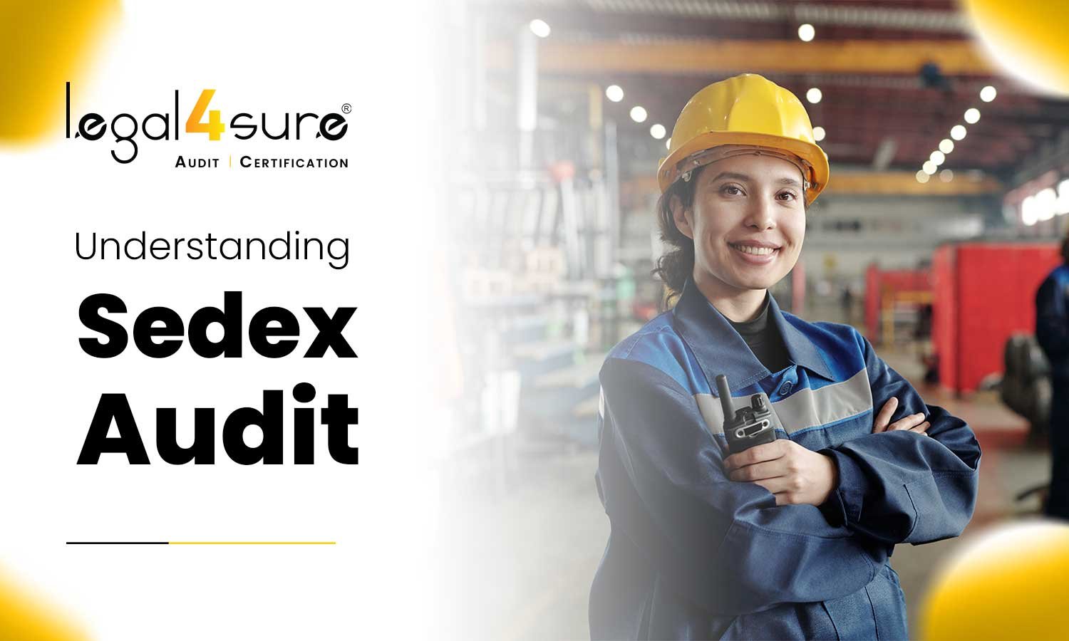 Understanding SEDEX Audit