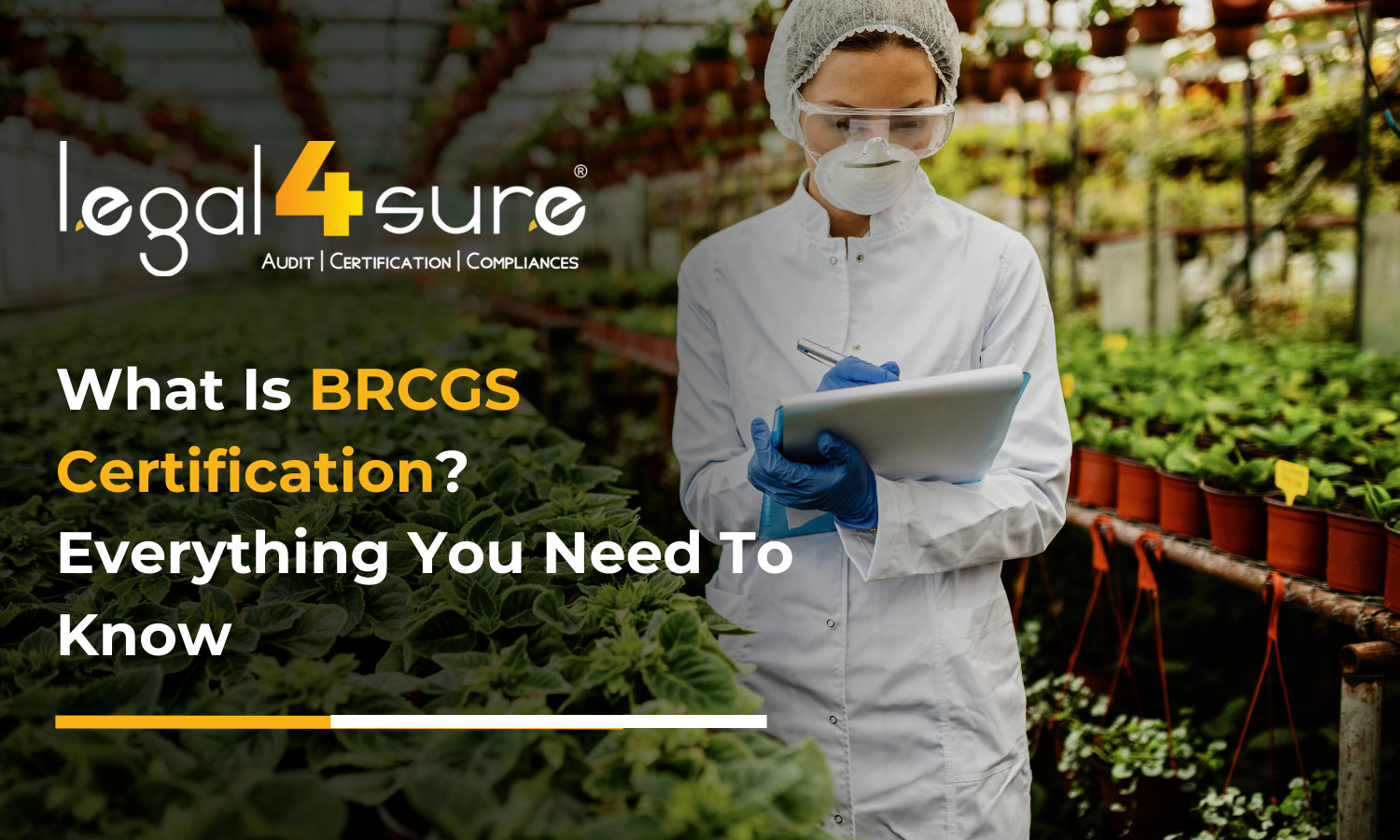 What Is BRCGS Certification Everything You Need To Know (2)