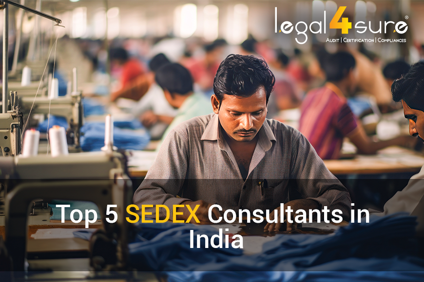 Top 5 SEDEX Consultants In India 2024 ( List )