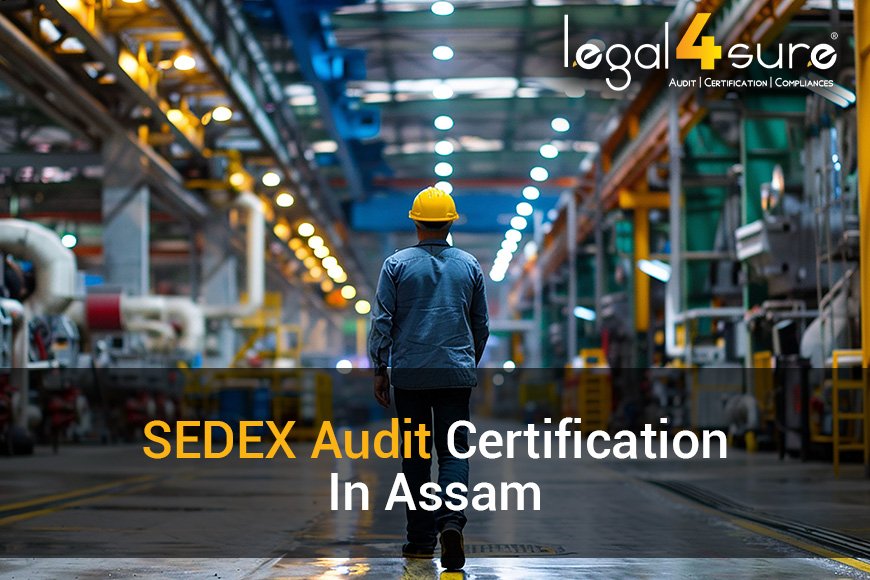 Top Rated SEDEX Audit Certification In Assam | 5-Star Google Rated