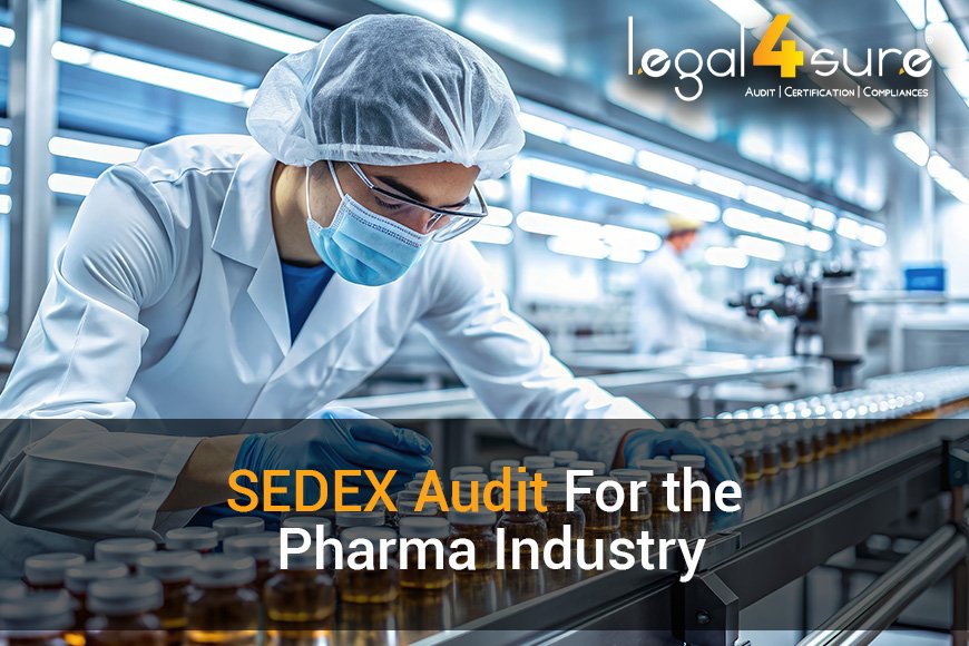 SEDEX Audit For The Pharma Industry