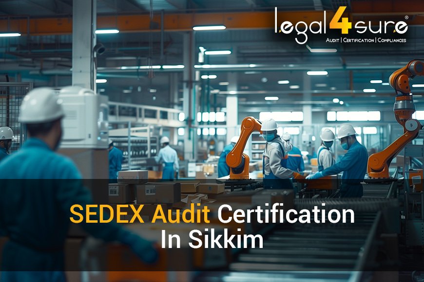 Best SEDEX Audit Certification In Sikkim, India