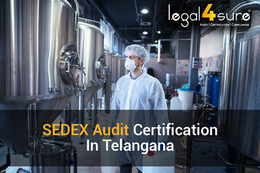 Professional  SEDEX Certification Audit In Telangana India