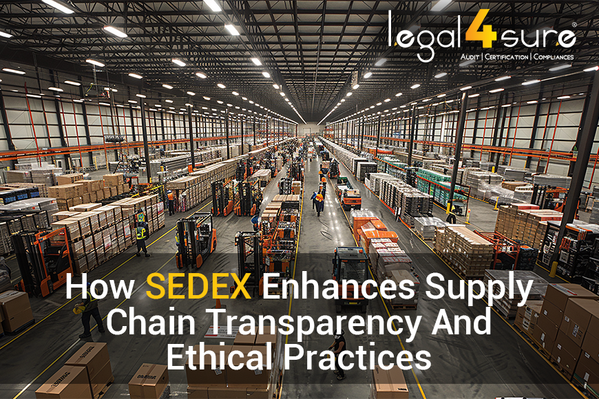 How SEDEX Enhances Supply Chain Transparency And Ethical Practices