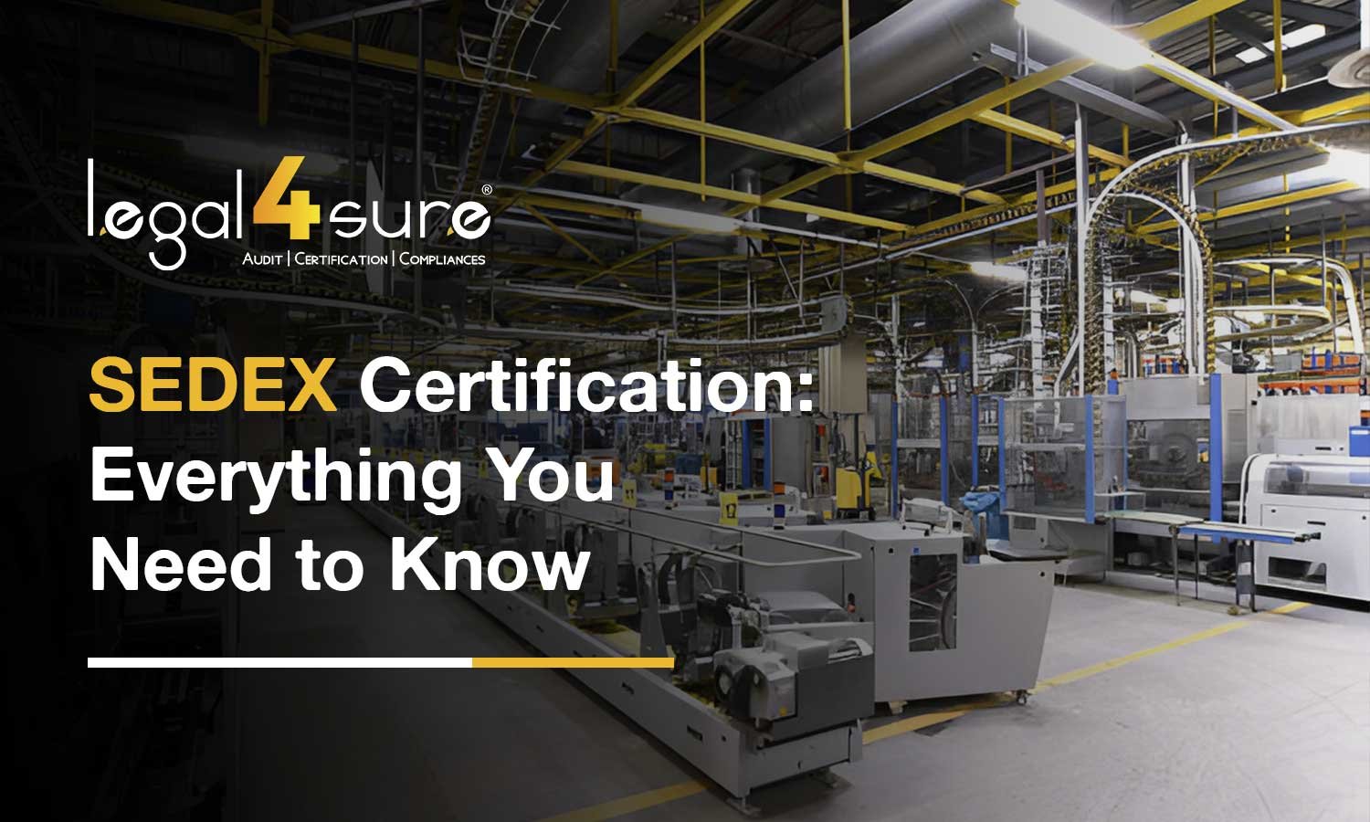 SEDEX Certification: Everything You Need to Know