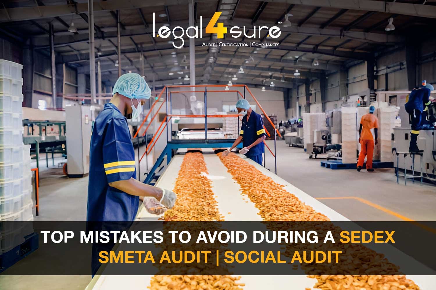 Top Mistakes To Avoid During a Sedex SMETA Audit