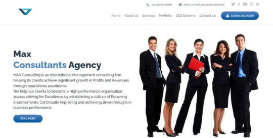 Max Consultant