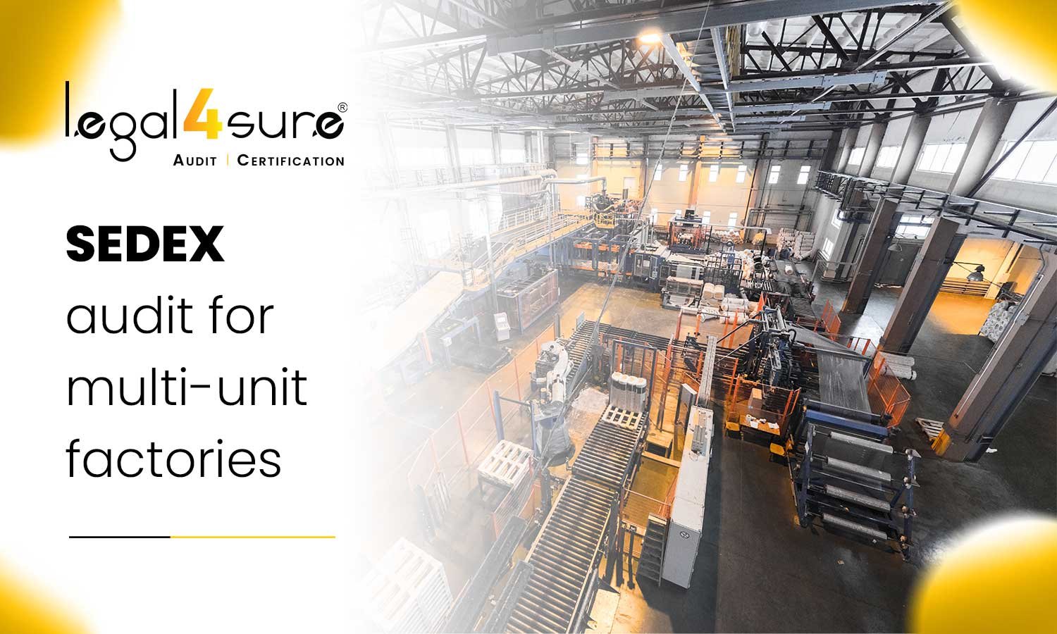 SEDEX audit for multi-unit factories