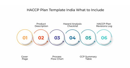 HACCP Plan Template India: What to Include