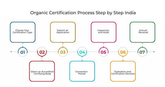  organic certification India 